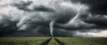 Tornado in corn field